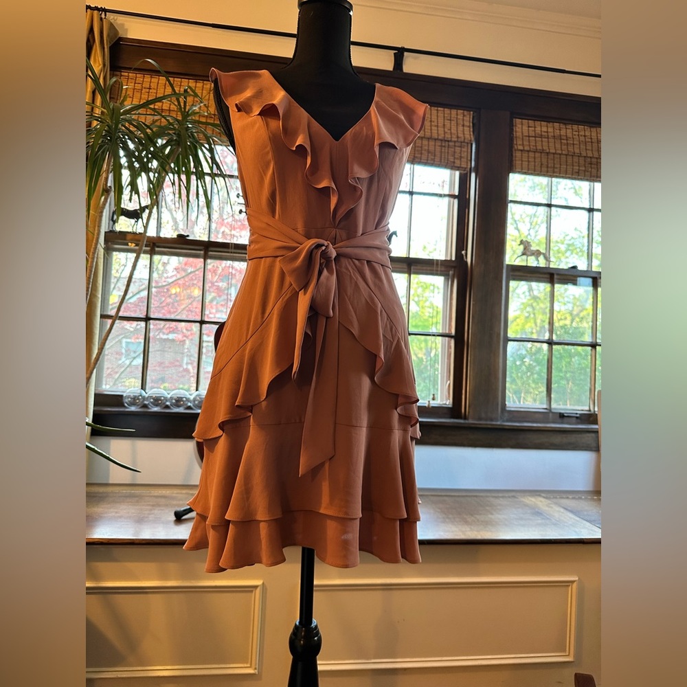 Express Ruffle Mini Dress - Picture 9 of 11